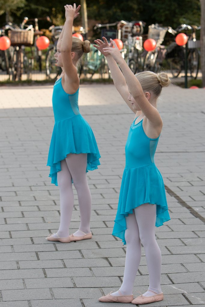 Schoolplein Festival A060.jpg